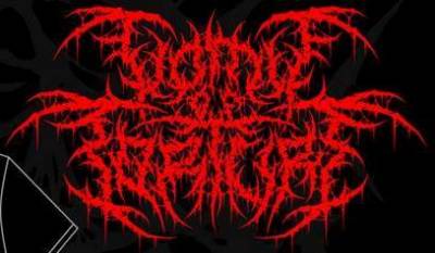 logo Vomit Of Torture